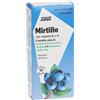 SALUS HAUS Gmbh & Co KG Salus Mirtillo, 45 Capsule, Integratore con Mirtillo, Vitamina B2 e A per Microcircolo e Vista