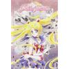 WarnerBrothers Sailor Moon Crystal Set 1 (DVD) Various