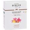Maison Berger Paris Diffuseur Voiture Recharge Soleil D'Ambre 2x17gr eur Voiture Recharge Soleil D'Ambre Ricariche Diffusori Auto Diffusori