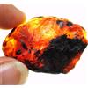 42.20 CT Naturale Miele Ambra Baltica Non Trattato Esemplare Certificato Grezzo