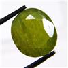 Naturale 430 Exquisite Pakistan Peridoto Con Ludwigite Inclusioni Certificato
