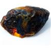 Certificato 45.40 CT Naturale Miele Ambra Baltica Non Trattato Esemplare Grezzo
