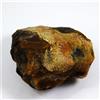 Certificato 50.70 CT Naturale Miele Ambra Baltica Non Trattato Esemplare Grezzo