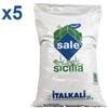 ITALKALI SALE DI SICILIA ALIMENTARE FINO, KIT 5 SACCHI DA 25 KG - Ideale per industria alimentare e clorinatori piscina