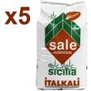 ITALKALI SALE DI SICILIA ALIMENTARE GROSSO KIT 5 SACCHI DA 25 KG - Ideale per industria alimentare e clorinatori piscina
