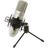 TASCAM TM-80, Microfono Professionale a Condensatore per Home Studio Recording per voce e strumenti acustici, Argento