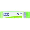 BOIRON Kalmia Latifolia Boiron 80 Granuli 5 Ch Contenitore Multidose