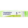 BOIRON Gnaphalium Polycephalum Boiron 80 Granuli 5 Ch Contenitore Multidose