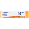 Boiron Lachesis Mutus Globuli 10mk Dose 1g