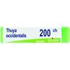 Boiron Thuya Occidentalis Globuli 200ch Dose 1g