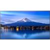 Sharp Monitor led 55" Sharp MultiSync P556 4K Ultra HD 3840x2160p classe G Nero [ULSHA055LP55600]