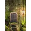 Amatae Forest Door, Discreet Internet Password Logbook, Large Print (Tascabile)