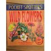 Angela Royston Wild Flowers (Tascabile)