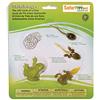Safari Ltd. Safari Ltd Life Cycle Of A Frog