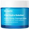 DR. JART DIV. ESTEE LAUDER SRL DR JART+ Dr Jart+ Vital Hydra Solution Hydro Plump Overnight Mask - Maschera Viso In Gel D'Acqua Senza Risciacquo Notte 75ml