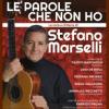 52733 Le parole che non ho - La voce e la chitarra di Stefano Marselli