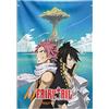 Grupo Erik Fairy Tail Wall Scroll Poster in Tela 70 x 100 cm