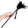 SECRETPLAY 100% FETISH Piuma Erotica per Massaggio Sensuale Secretplay — 40 cm
