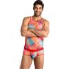 ANAIS MEN ACCESORIES Slip Uomo Sexy Anais Men Falcon — Lycra, Taglia L