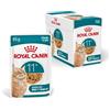 ROYAL CANIN AGEING 11+ Jelly | 12 x 85 g | Cibo umido per gatti senior a partire dall'11° anno di età | Formula con HealthyAge7™ Complex | Gustosi bocconcini in gelatina