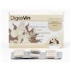 ERBENOBILI Srl DIGESVIN 60 COMPRESSE 500 MG