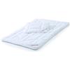 CelinaTex - Set di trapunte Quattro Stagioni per Lettino, 100 x 135, concuscino 40 x 60, Coperta per Bambini Estiva e Invernale, in Microfibra Trapuntata, Oeko Tex, Lavabile a 95 Gradi, 5000977