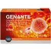 S&R FARMACEUTICI SpA GENANTE 90 Compresse - Integratore per la gravidanza