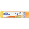LABORATOIRES BOIRON Srl ARNICA MONTANA 15CH GRANULI