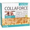 DIETMED ITALIA Srl COLLAFORCE OSTEO 20 BUSTINE