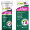 AESCULAPIUS FARMACEUTICI Srl PUMILFLU INFLUENZA E R*12CPR