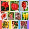 Semi Strani SEMISTRANI.IT - 100 Semi dei 10 Peperoncini più Buoni e Piccanti del Mondo, Coll. Tradizionale + Guida: CAROLINA REAPER, SCORPION, GHOST, NAGA, HABANERO, CHARAPITA, FATALII, TIGER, THUNDER, CALABRESE