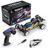 SAYZON Auto RC 1/24 Auto Telecomandata 244016 All Terrain 2.4GHZ RTF RC Buggy 25km/h Veicolo Elettrico RC ad Alta Velocità per Adulti