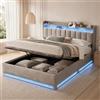 DULRLLY Letto Imbottito Matrimoniale 160x200 con Contenitore, Letto Matrimoniale con LED e USB, Testiera con Spazio di stoccaggio, struttura letto matrimoniale per adulti e adolescenti, Velluto