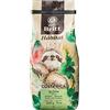Cafe Britt Café Britt | Caffè Gourmet di Costa Rica | Miscela Hábitat | 100% Caffè Arábica | Certificato Kosher, Senza Glutine | Macinato | Sachetto 340 g