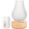 LEDbyLED Lampada Da Tavolo Nina Ricaricabile, Dimmerabile Senza Fili, Base Ottone, Vetro Smerigliato, 3 Livelli Di Luce, Fino A 80 Ore Autonomia, IP54
