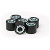 MALOSSI 6614705D0 6 rulli HTRoll Ø18x14 gr. 13