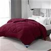 WAVVE Piumino Quattro 4 Stagioni Letto Singolo 155 x 220 - Piumone Autunnale Invernale 155x220 - Trapunta 220x155, Microfibra Sintetica, Caldo, Morbido, Bordeaux