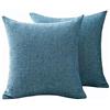 SWJ-swjssb Set di 2 Copri Cuscini Divano 50x70 Copricuscino 70x70 60x80 con Cerniera,Federe Moderne per Camera da Letto Divano Decorativo Lino Elegante Lavabile Copricuscini(Blue,65x65 cm 2pcs)