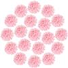 QUARKZMAN 20Pcs Pom Pom Di Carta Velina 20cm Grandi Fiori Di Carta Rosa