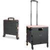 CROSS ZEBRA Carrello Spesa Pieghevole 4 Ruote, 1.93Cu ft/100Lbs Alta Capacità Tirante Retrattile in Acciaio Inossidabile Ruote Girevoli a 360° Rimovibili per Picnic Viaggiare Conservazione, Rosa