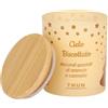 THUN - Candela natalizia Cielo biscottato-206 g