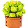 Nice Mattoncini - Exotic Plants - Set da Costruzione in Blocchi della Pianta Aeonium Canariens - cod 78044