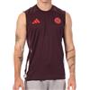 adidas Bayern Monaco Canottiera Bordeaux Uomo 24/25