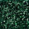 Arella Siepe Sintetica Artificiale 1,5x3m in PVC con Rete Ombreggiante Ranieri Foglie di Lauro