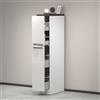 Dmora Dispensa da Cucina Quintino 60x30x165h cm Bianco Bianco Lucido 4 Ripiani 2 Cassetti, 2 Ante Made in Italy