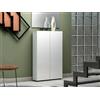 Dmora - Armadio multiuso 2 ante Tzaneen, Mobile multifunzionale, Mobiletto scarpiera, Guardaroba porta scarpe, Made in Italy, 70x19h115 cm, Bianco lucido