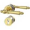 Amerdeco Maniglia per porta interna oro lucido con rosetta rotonda, set maniglia PZ con cilindro europeo, design classico per porte d'ingresso e interne UK0100