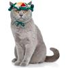 Penitue Cappelli Gatti, Cappello Uncinettoo Piccolo Grazioso per Gatto con Fiore e Anguria per Cani Cuccioli Animali Domestici Halloween Natale(Verde)