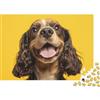 KEZXWCBMN Ritratto di cane Puzzle 1000 Pezzi Puzzle per Adulti Sfondo giallo Gioco di Puzzle 1000 Pezzi Relax Casa Regalo 38x26cm/1000pcs