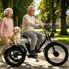 BoluDukNN Triciclo Elettrico per Adulti, Triciclo a 7 Velocità Con Grande Cestino, Display Lcd + Faro Anteriore, Triciclo Cargo Elettrico per Viaggi E Uso Quotidiano Degli Anziani Black